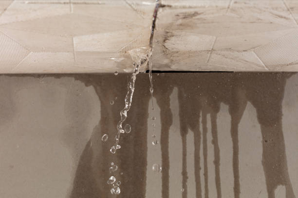 Professional Structural Drying technician working in Newtonsville, OH